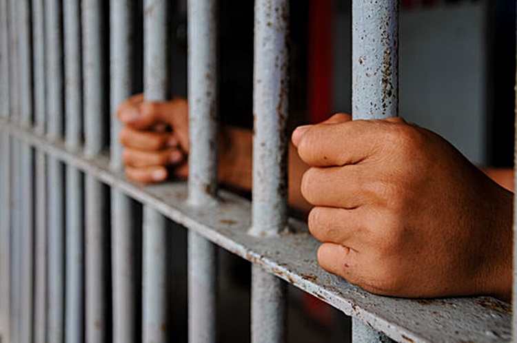 79歳男逮捕 隣人の猫刺傷事件