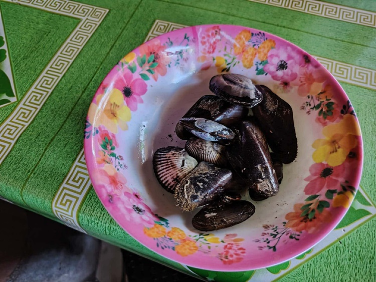 バコロドで貝食後の食中毒疑い、6人搬送