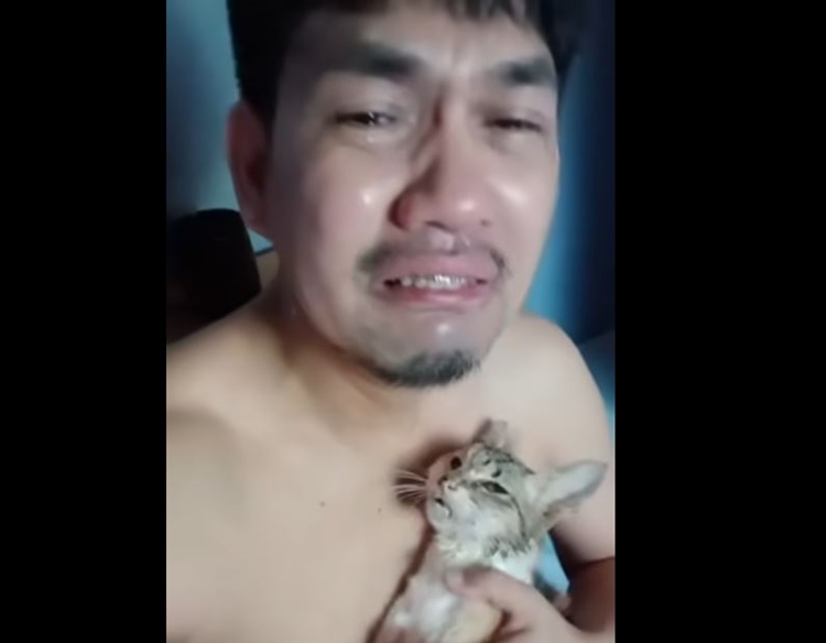 愛猫との別れに涙、心の空白語るクリエイター