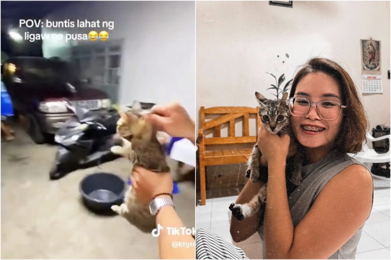 虐待動画の猫「パヤパ」救出 助けた女性の決意