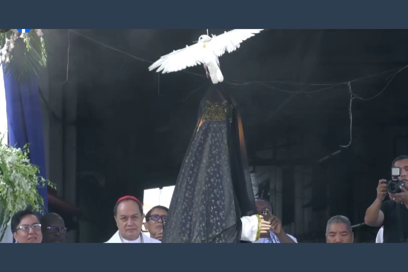 動物虐待批判、教会のハト使用に非難集中