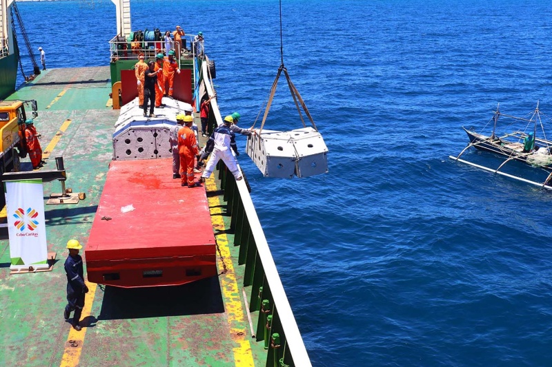 セブ沖に「魚のマンション」設置、漁業復興へ