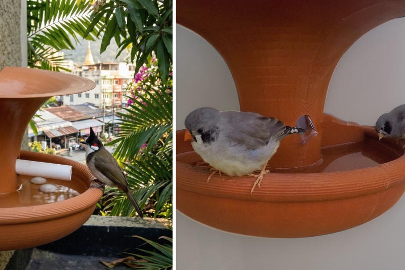 フィリピン都市の鳥救う水集め装置の挑戦