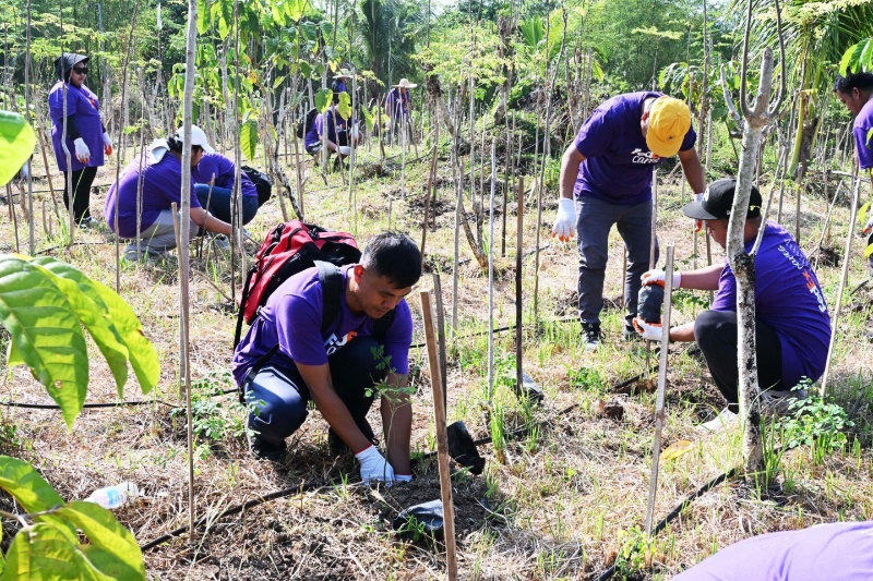 全国で地球月間に環境保護活動が活発化