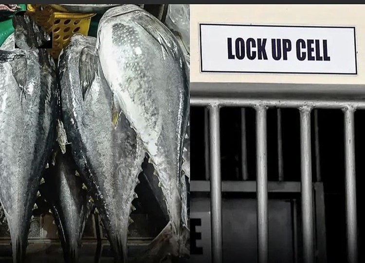 カリボでマグロ盗難、隣人に分配と供述