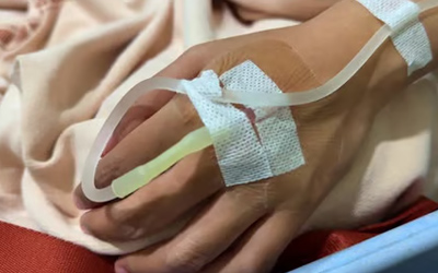 テコンドー選手、蛇に襲われ病院搬送