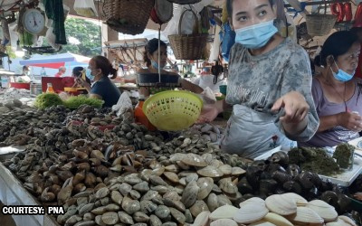ビリラン島の貝類、赤潮毒素で汚染警報