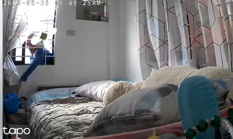 Panty thief