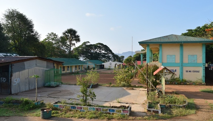 小学生の殴打否定、スパーリング説浮上