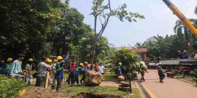 DENR planting Narra tree