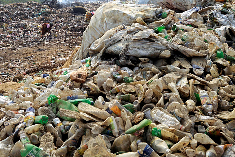 微細プラスチック研究の信頼性に疑問の声