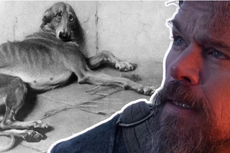 古代ギリシャ 人と動物の絆を描く忠犬アルゴス