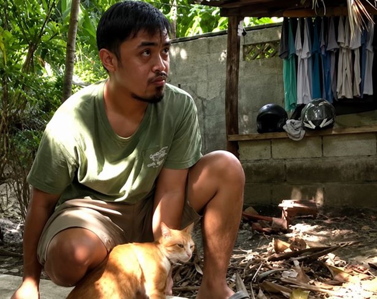 救助猫、エアソフト銃で撃たれ死亡