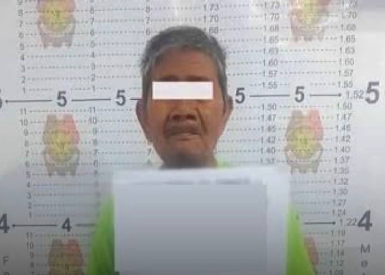 71歳トウモロコシ売り逮捕 違法販売で波紋