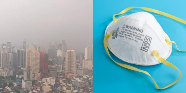 Haze N95 Mask