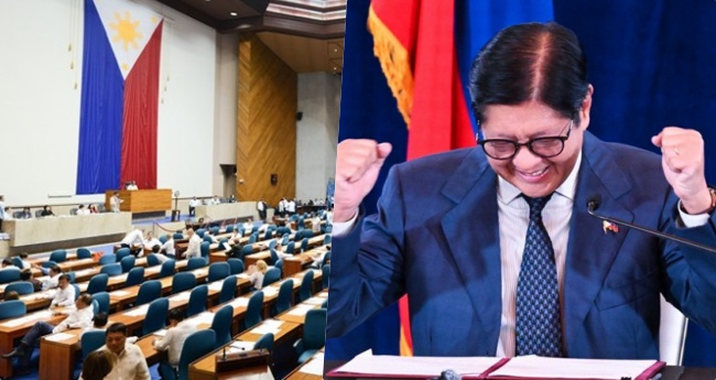 House Budget Panel Bongbong Marcos