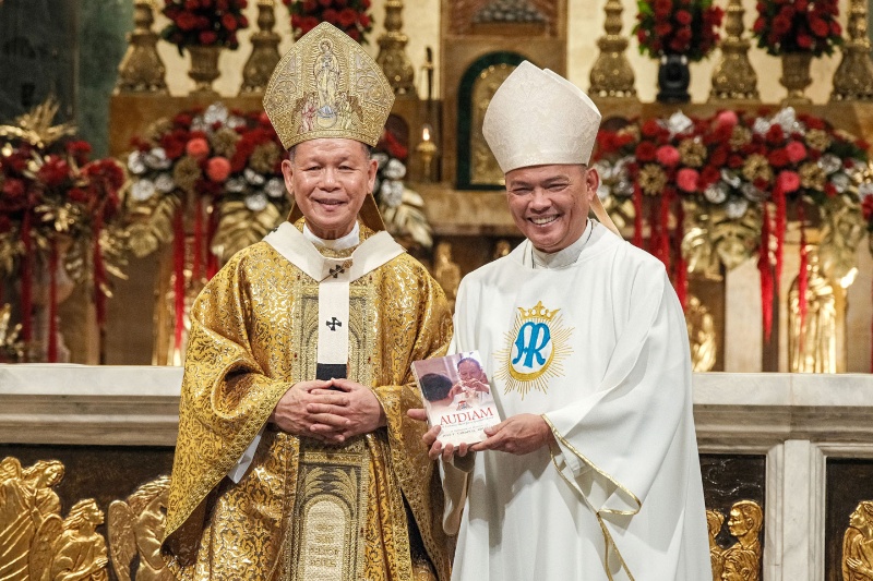 Advincula book