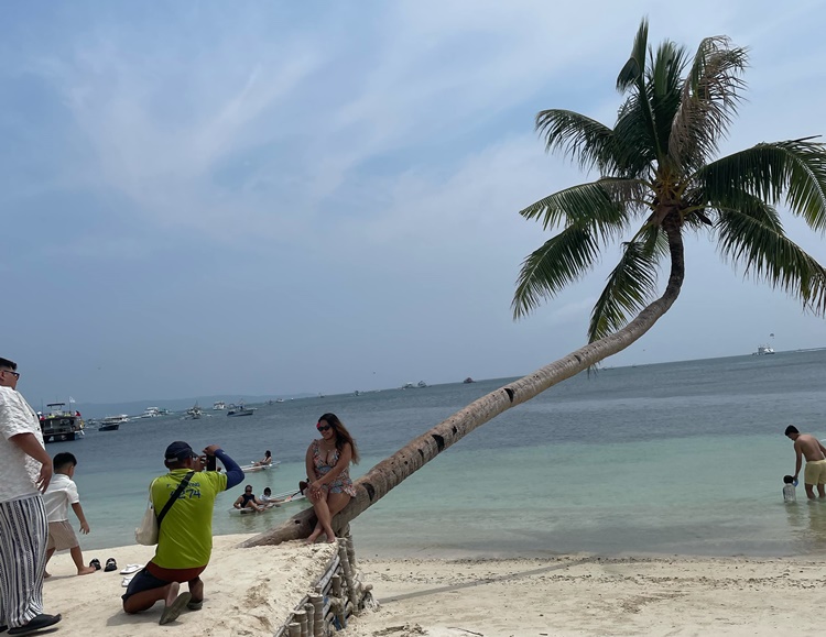 Leaning coconut tree2