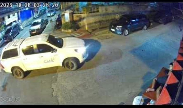 Dog hit and run